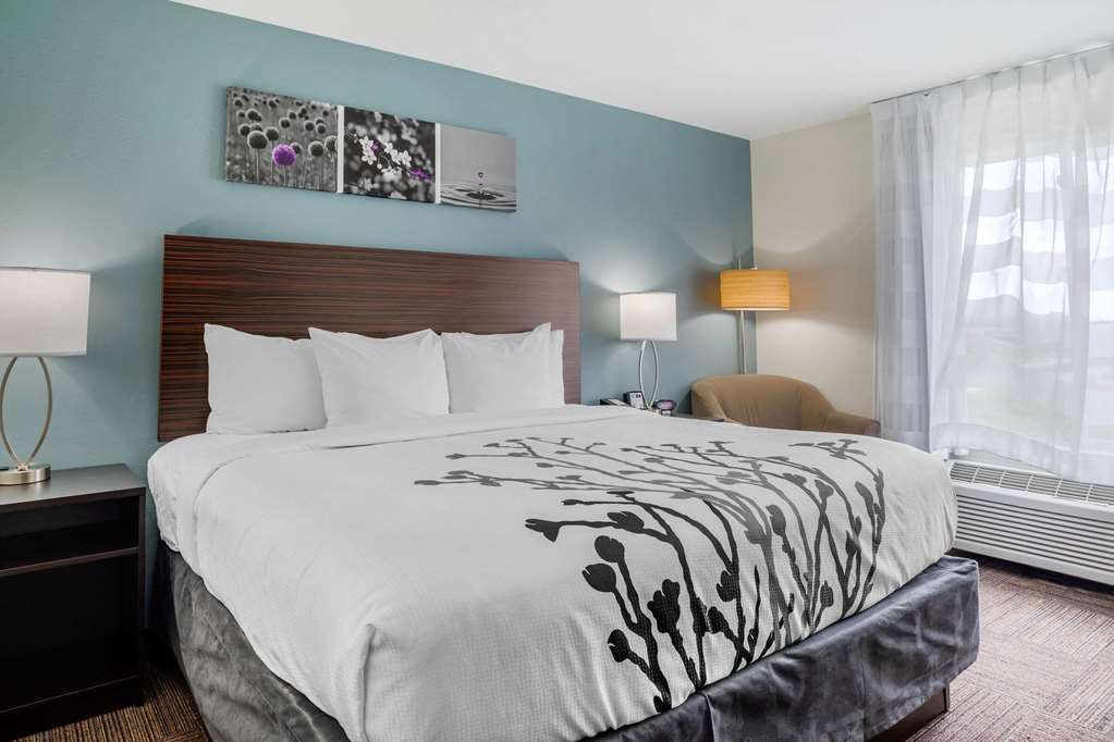 Sleep Inn & Suites Near Westchase Houston Chambre photo