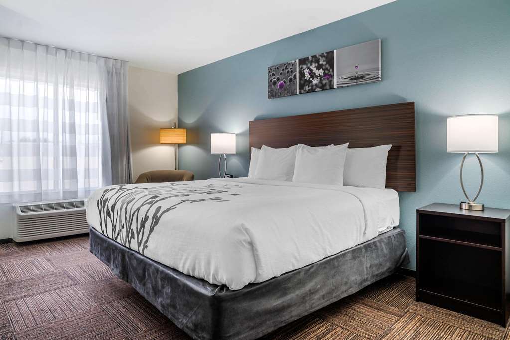 Sleep Inn & Suites Near Westchase Houston Chambre photo